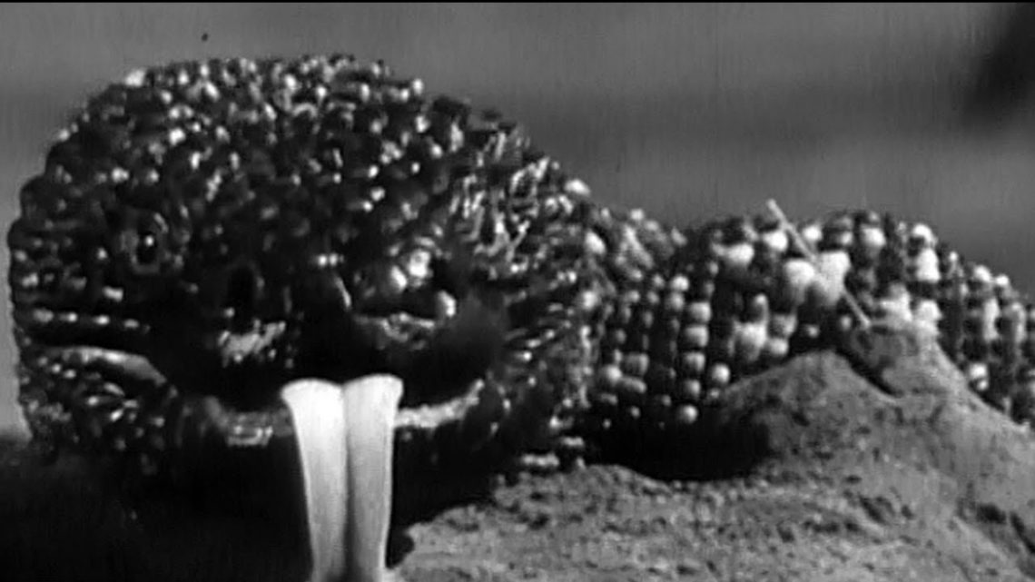 Giant Gila Monster (1959)