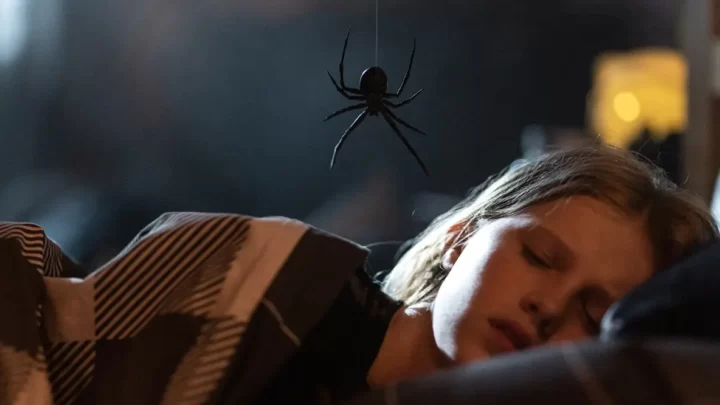 Nadciąga “Sting” – horror o wielkim pająku