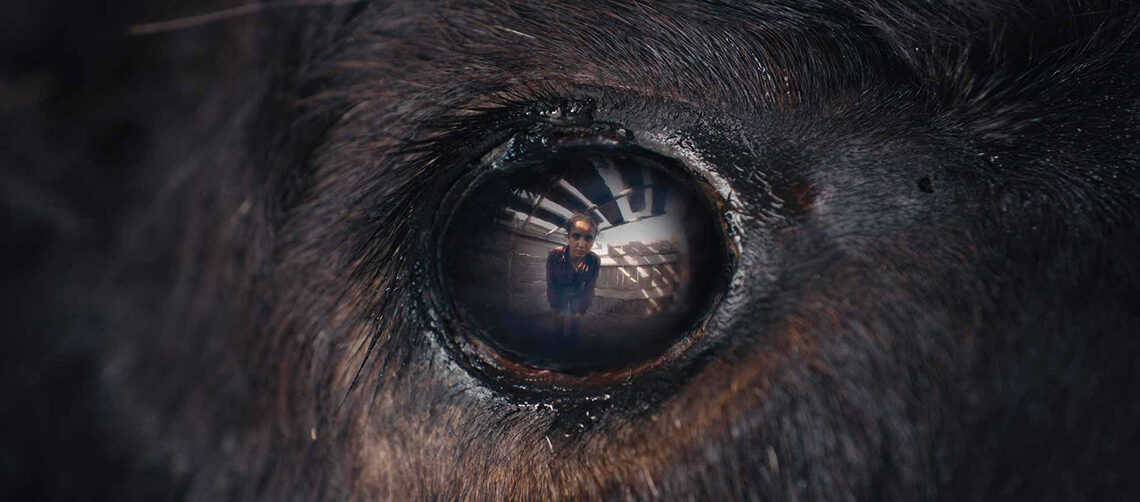 Animale (2024) – recenzja horroru