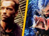 Wpadki i błędy w filmie Predator