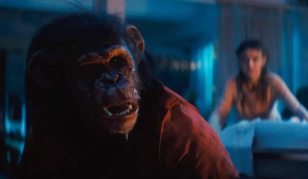 Szympans (2026) – recenzja