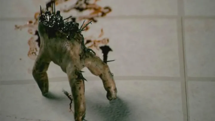 Cierń – Splinter – 2008